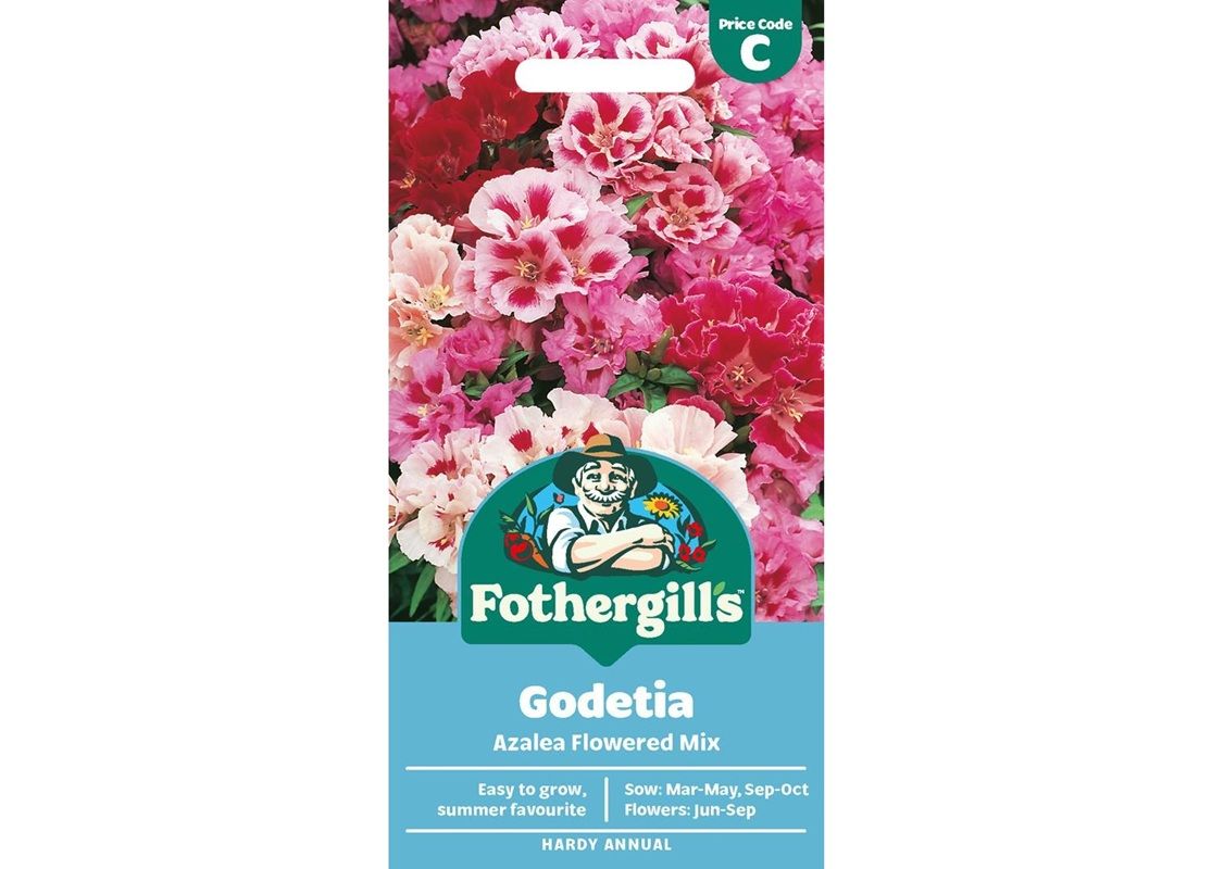 GODETIA Azalea Flowered Mix