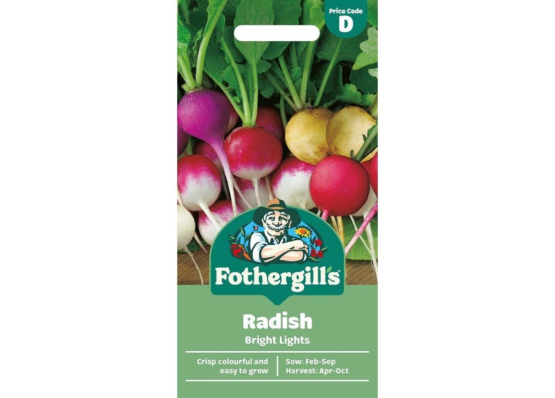 RADISH Bright Lights RADISH Bright Lights