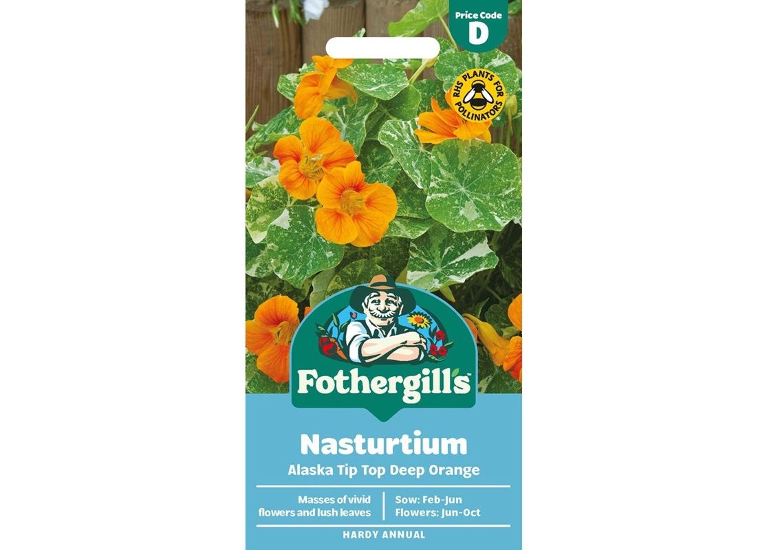 NASTURTIUM Alaska Tip Top Deep Orange NASTURTIUM Alaska Tip Top Deep Orange