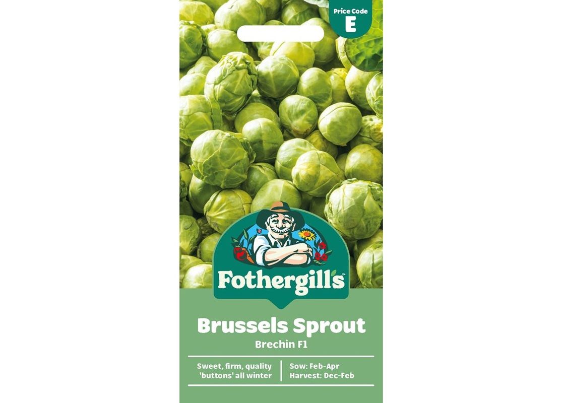 BRUSSELS SPROUT Brechin F1