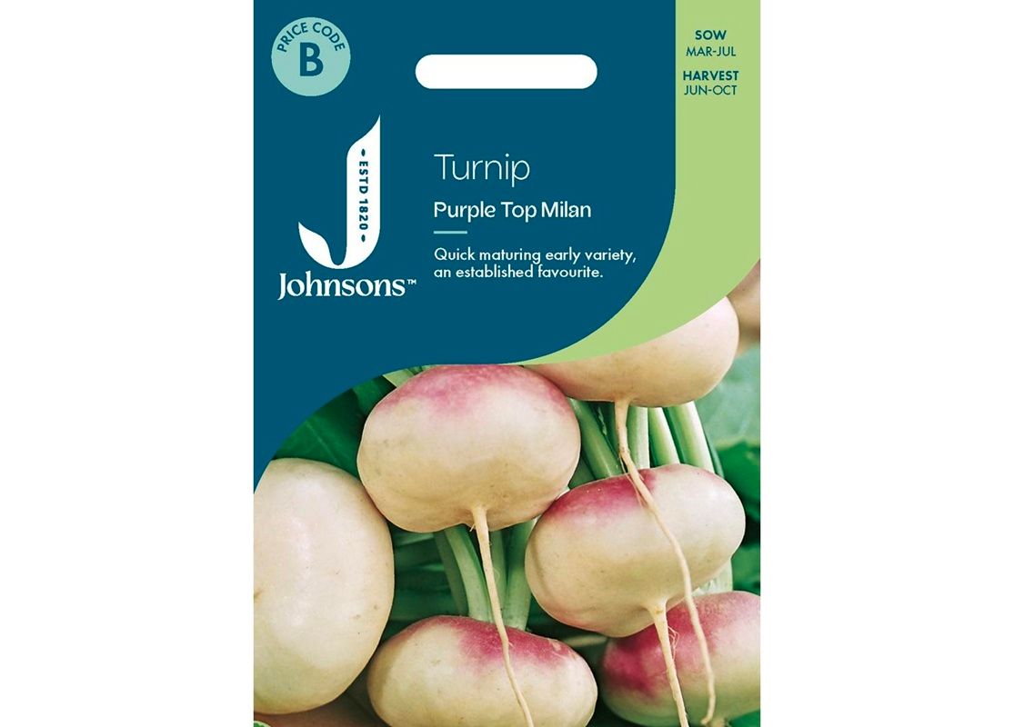 TURNIP Purple Top Milan