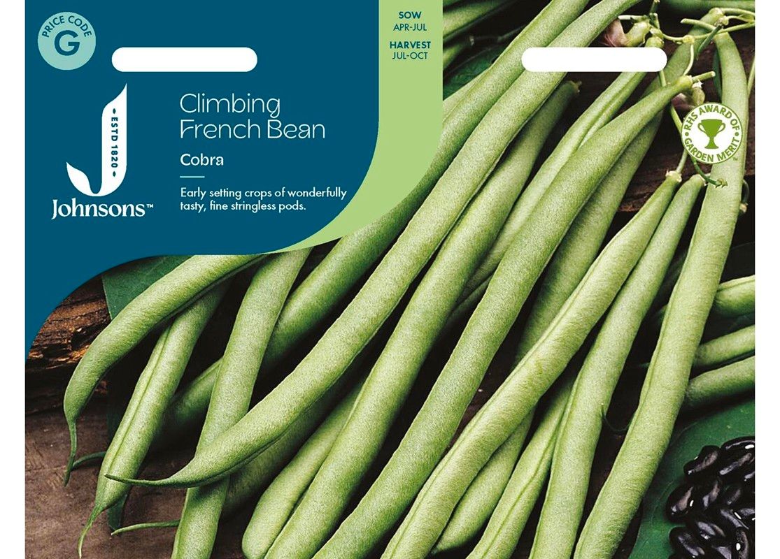 CLIMBING FRENCH BEAN Cobra