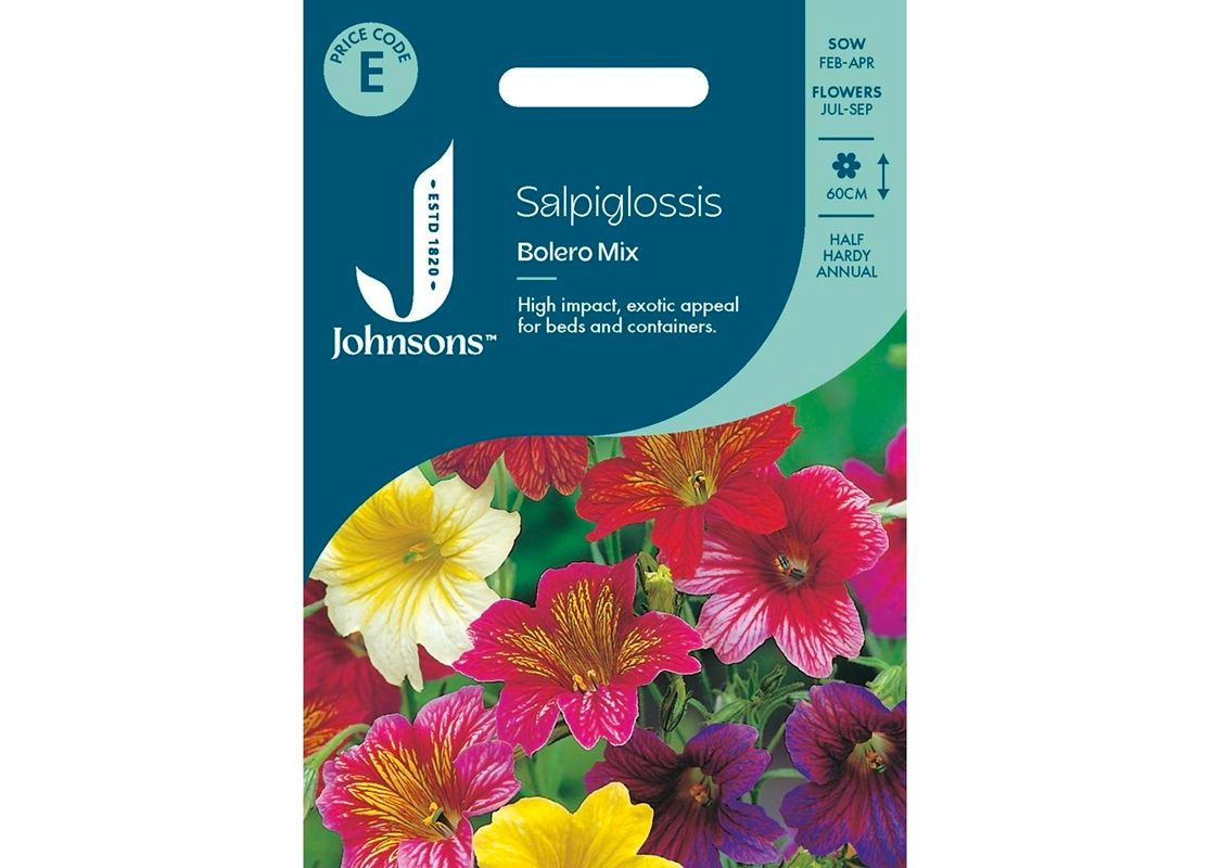 SALPIGLOSSIS Bolero Mix SALPIGLOSSIS Bolero Mix