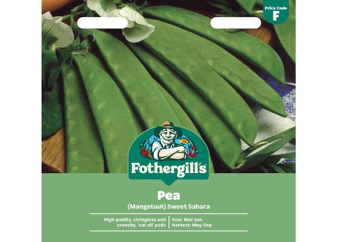 PEA (Mangetout) Sweet Sahara