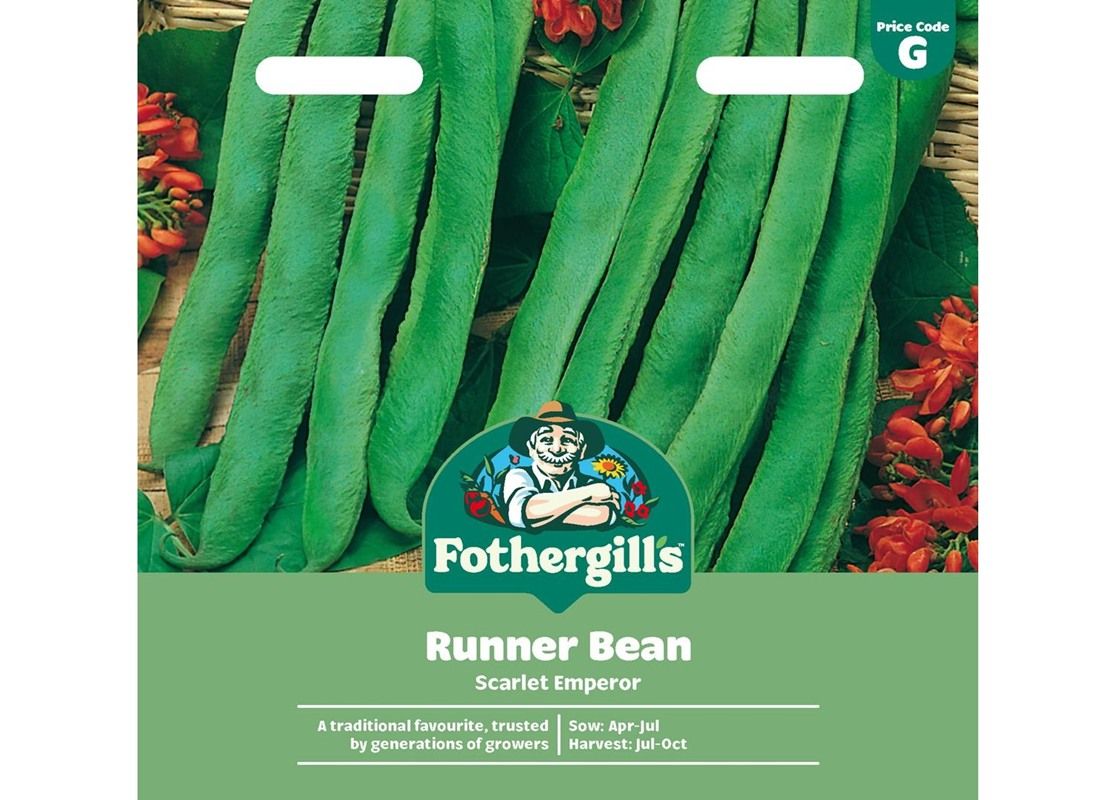 RUNNER BEAN Scarlet Emperor RUNNER BEAN Scarlet Emperor