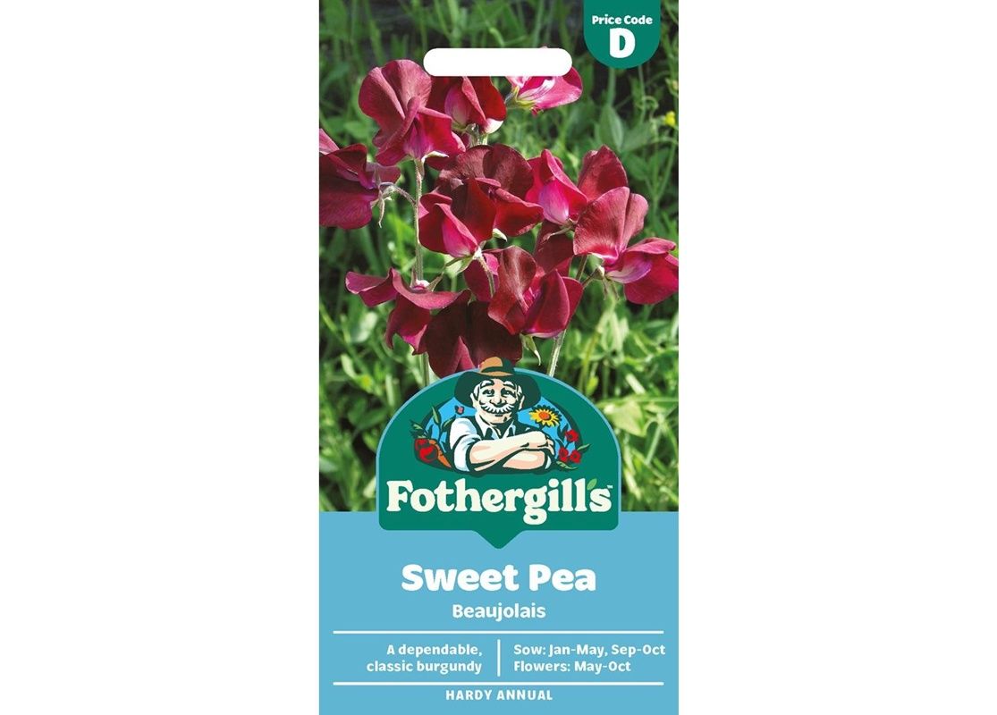 SWEET PEA Beaujolais