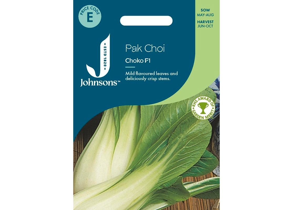 PAK CHOI Choko F1