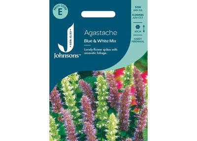 AGASTACHE Blue & White Mix AGASTACHE Blue & White Mix