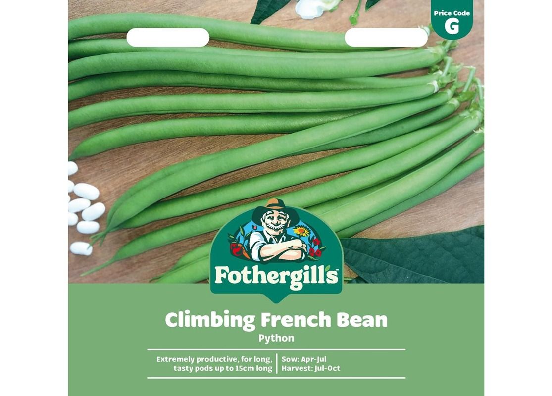 CLIMBING FRENCH BEAN Python CLIMBING FRENCH BEAN Python