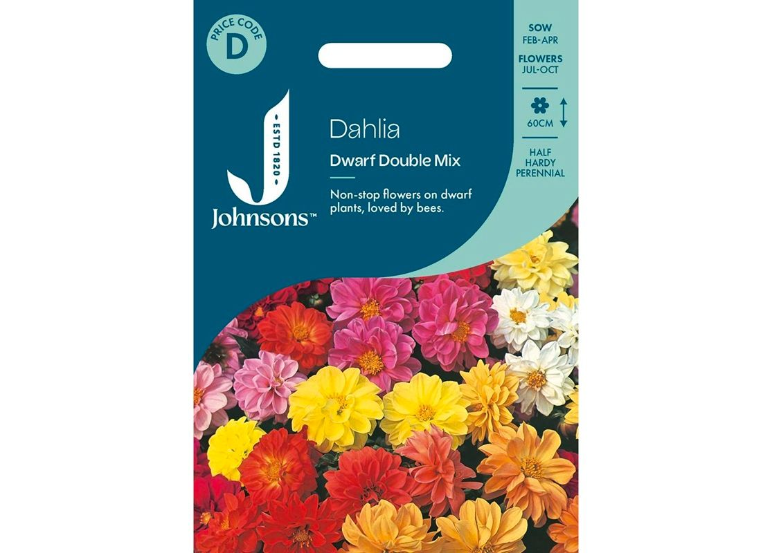 DAHLIA Dwarf Double Mix DAHLIA Dwarf Double Mix