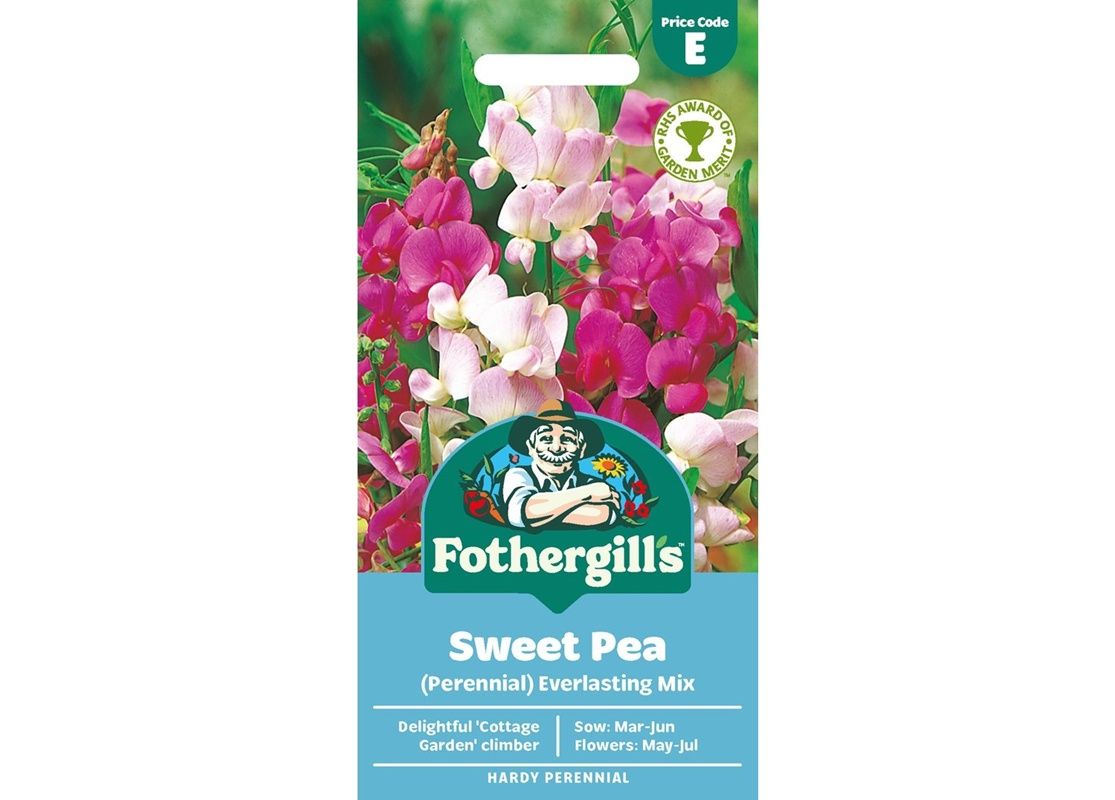 SWEET PEA Perennial Everlasting Mix