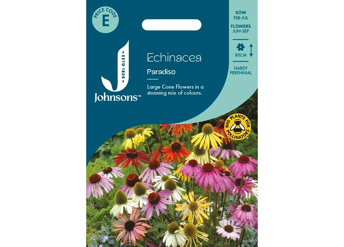 ECHINACEA Paradiso