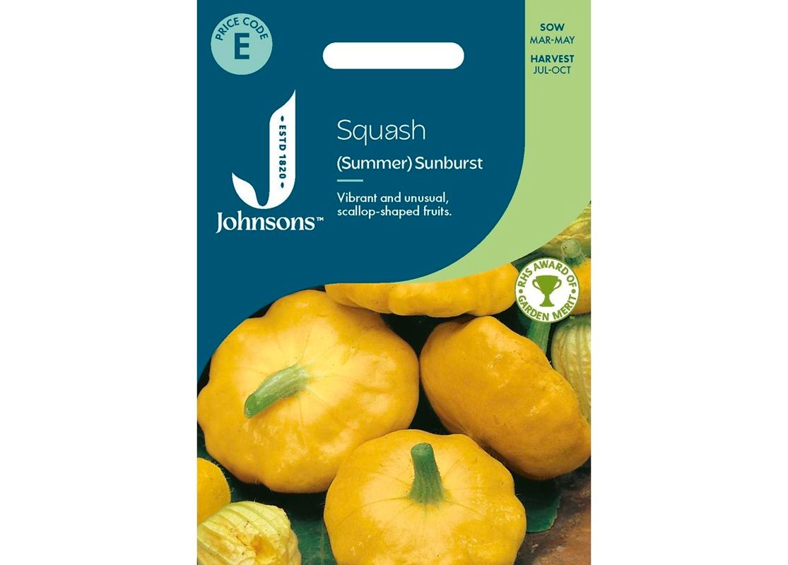 SQUASH (Summer) Sunburst F1 SQUASH (Summer) Sunburst F1