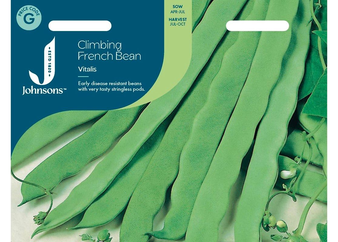 CLIMBING FRENCH BEAN Vitalis