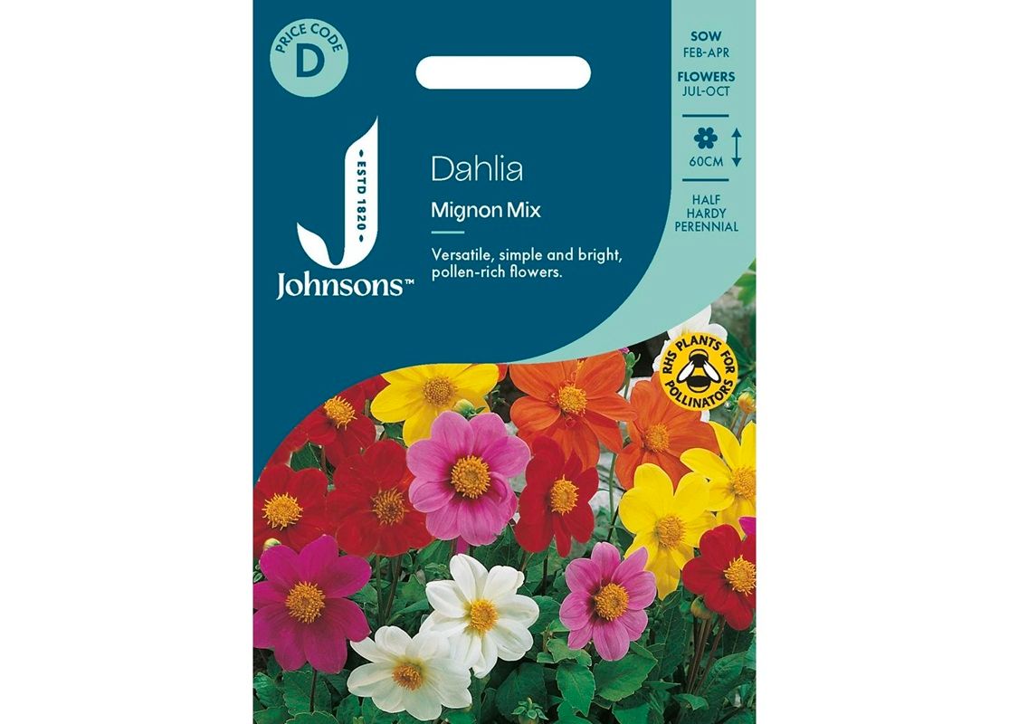 DAHLIA Mignon Mix DAHLIA Mignon Mix