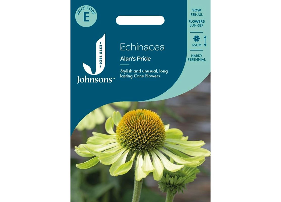 ECHINACEA Alan's Pride ECHINACEA Alan's Pride