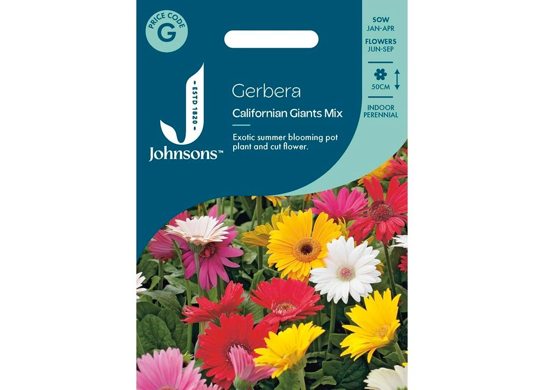 GERBERA Californian Giants Mix