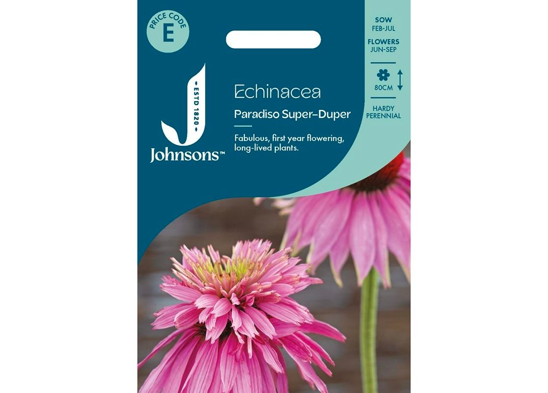 ECHINACEA Paradiso Super-Duper ECHINACEA Paradiso Super-Duper