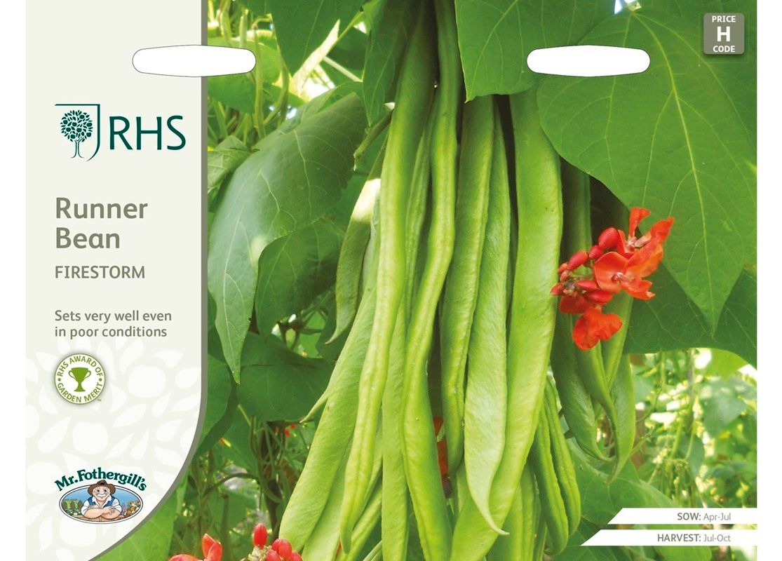 RHS RUNNER BEAN Firestorm