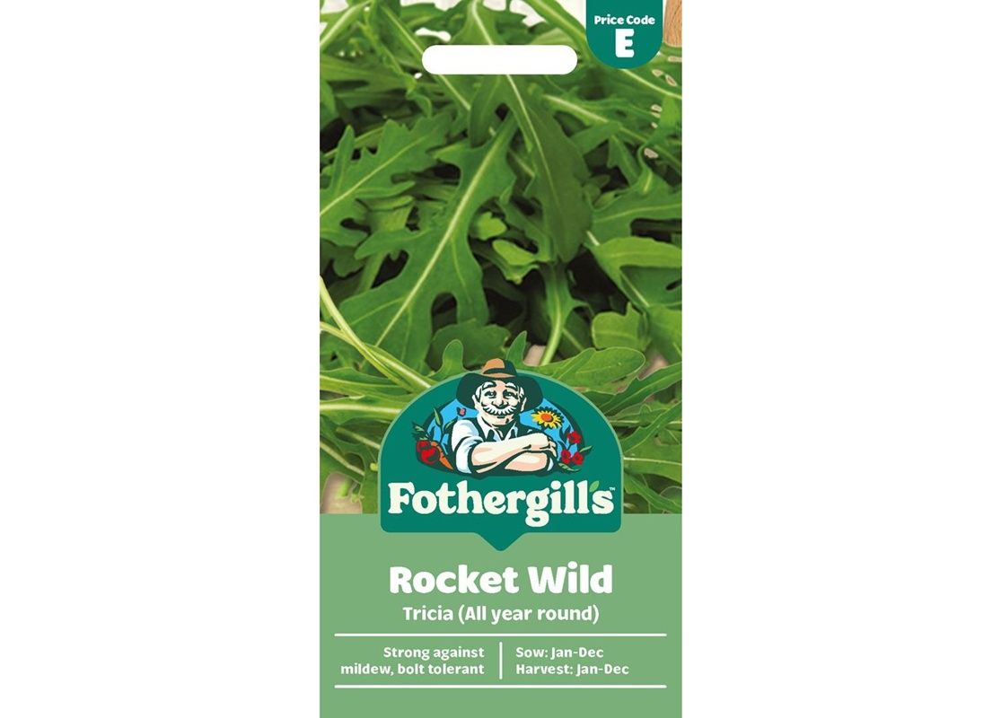 ROCKET WILD Tricia (All year round)
