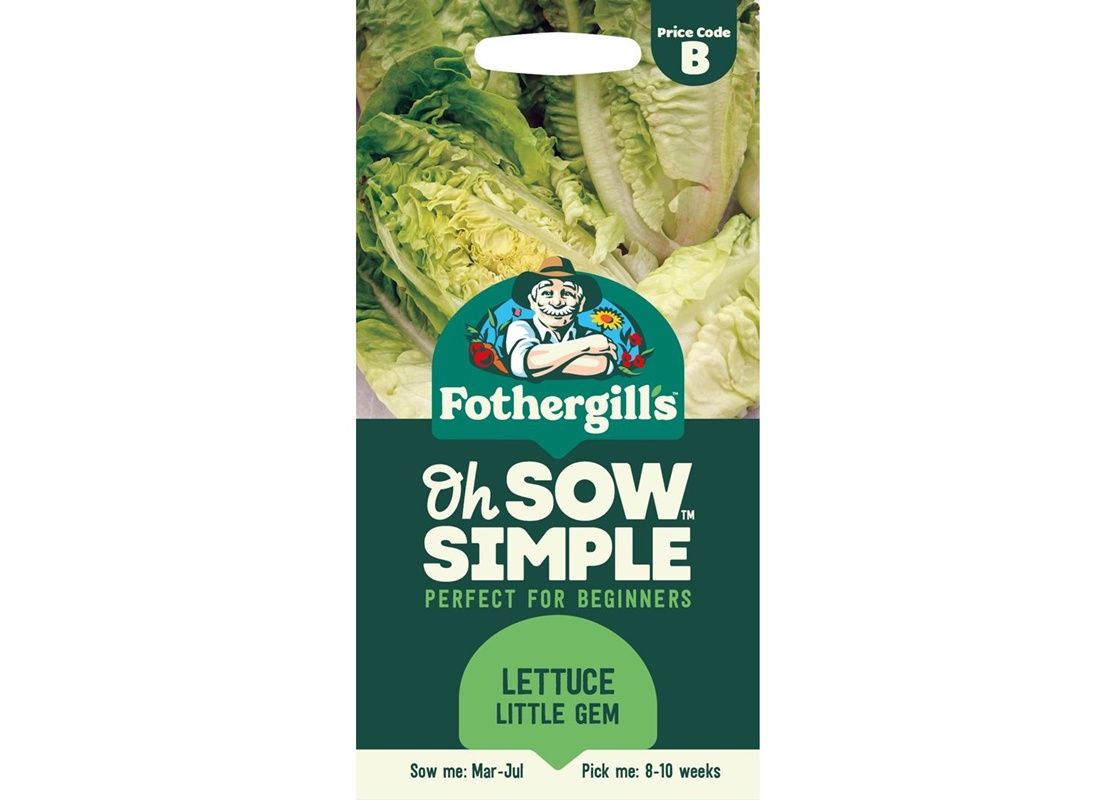 LETTUCE Little Gem LETTUCE Little Gem