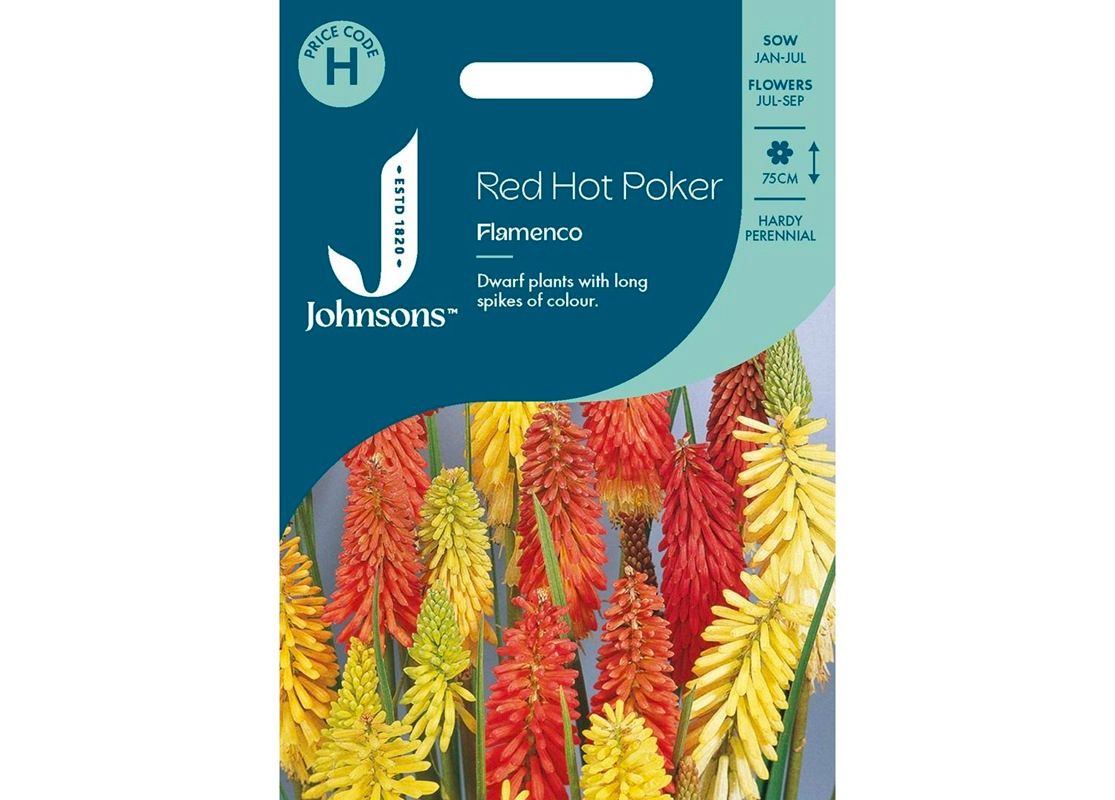 RED HOT POKER Flamenco