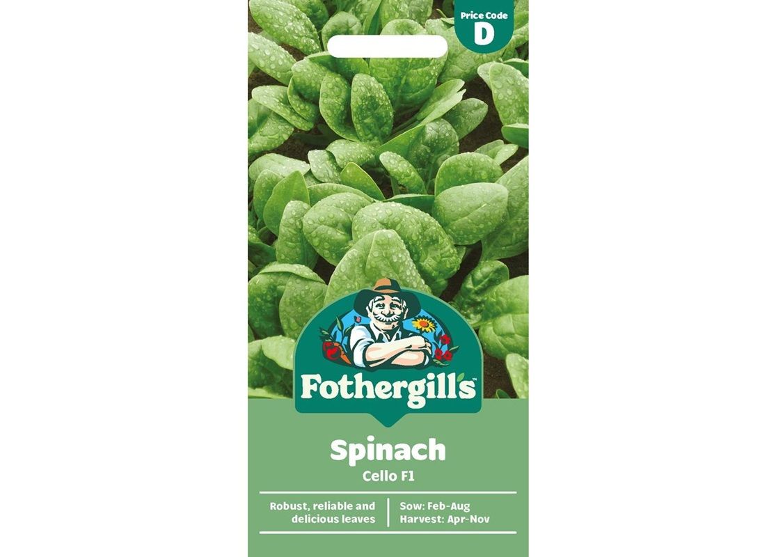 SPINACH Cello F1 SPINACH Cello F1