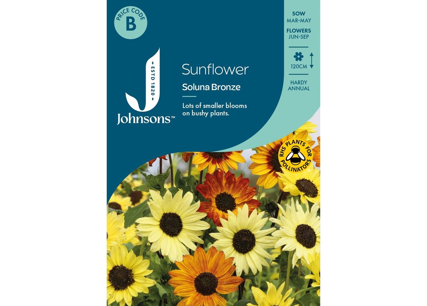 SUNFLOWER Soluna Bronze