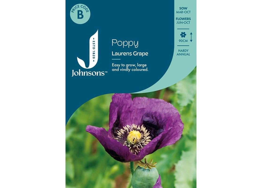 POPPY Laurens Grape POPPY Laurens Grape