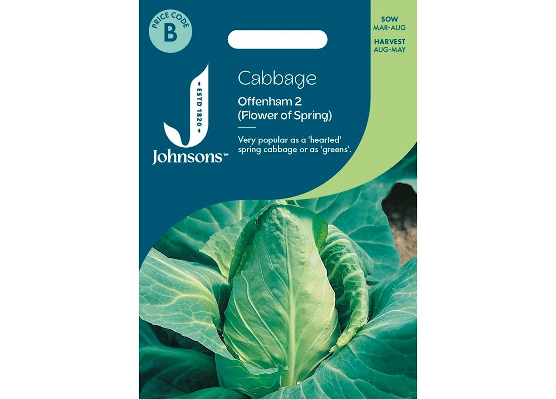 CABBAGE Offenham 2 (Flower of Spring)