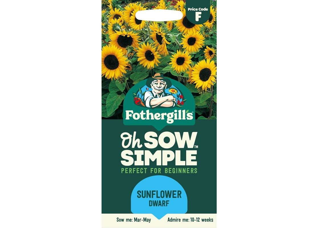 SUNFLOWER Little Dorrit F1