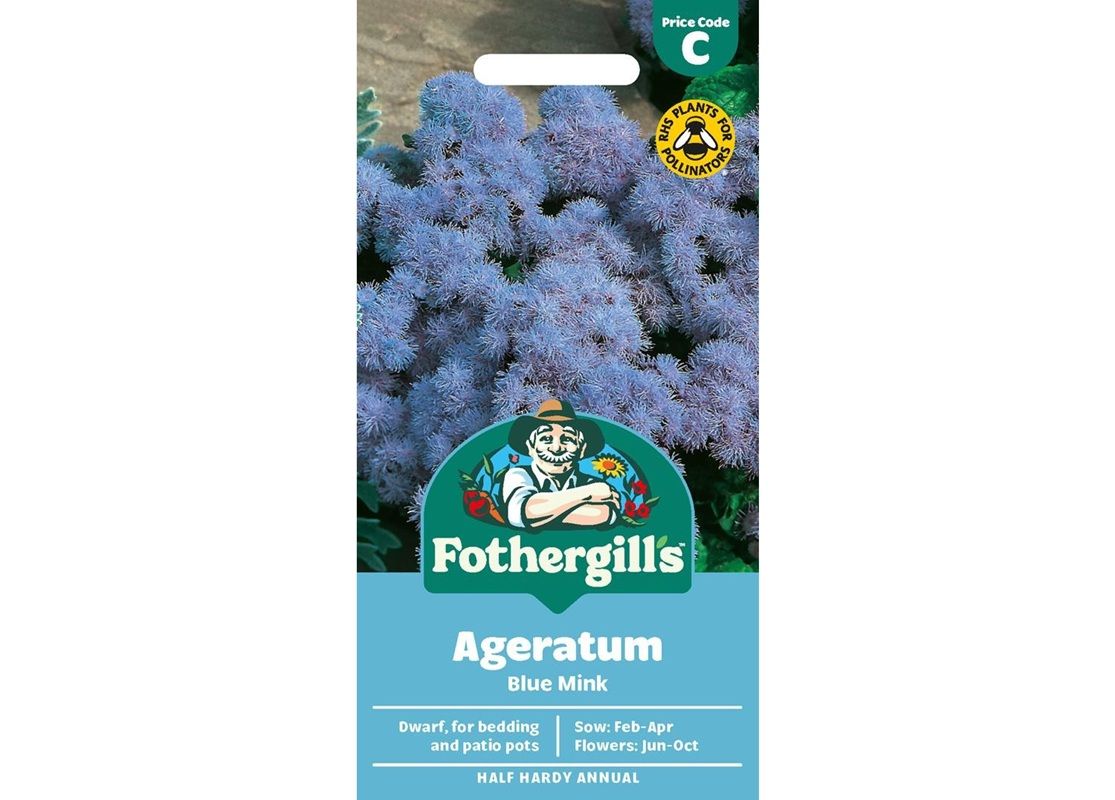 AGERATUM Blue Mink AGERATUM Blue Mink