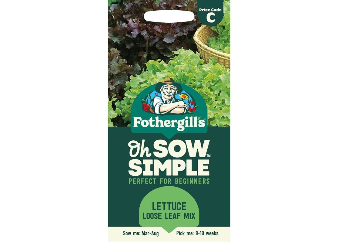 LETTUCE Salad Bowl Red &amp; Green Mixed