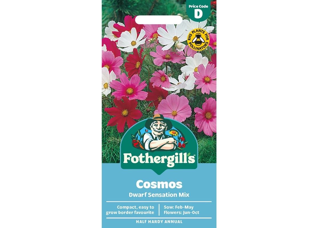 COSMOS Dwarf Sensation Mix