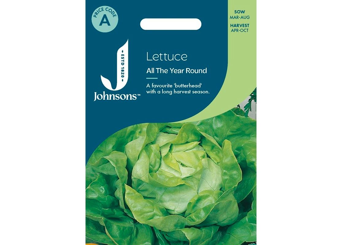 LETTUCE All The Year Round