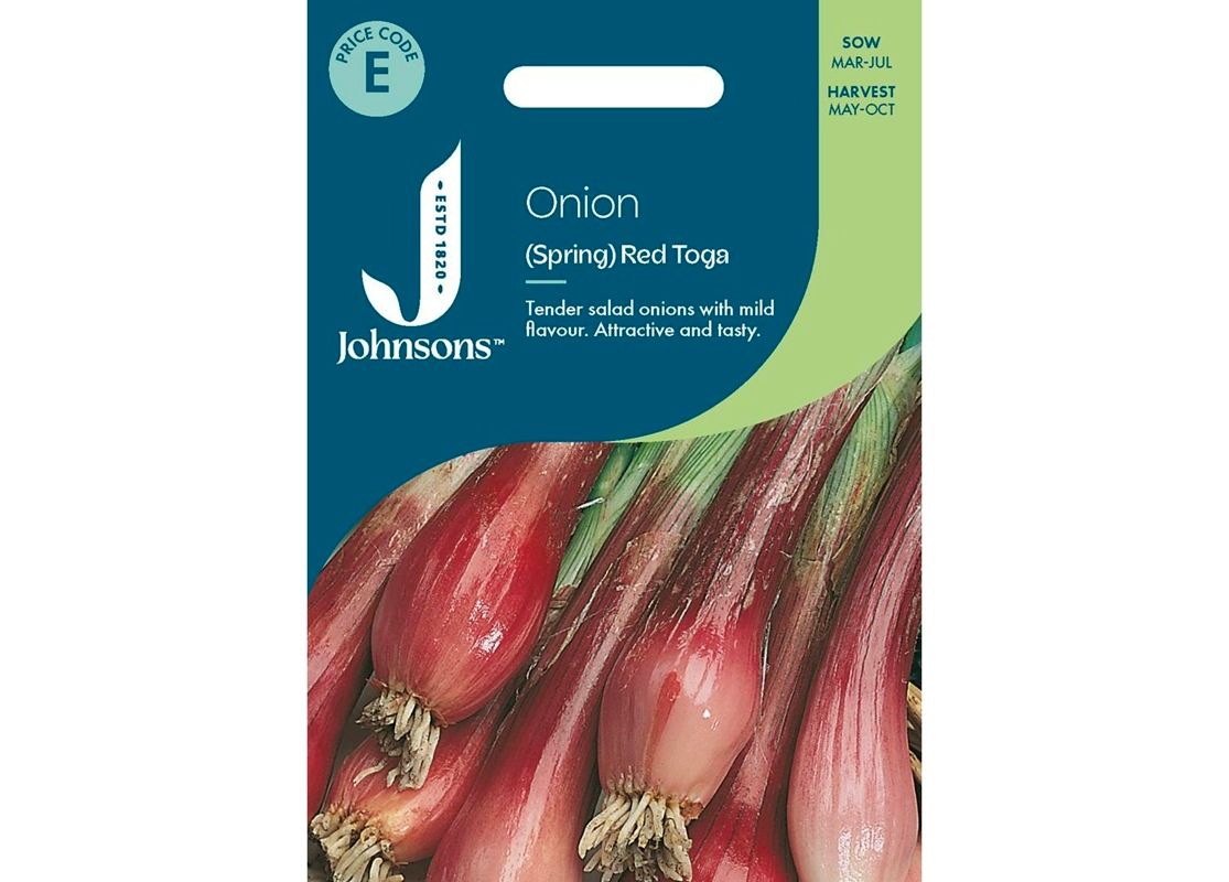 ONION (Spring) Red Toga ONION (Spring) Red Toga