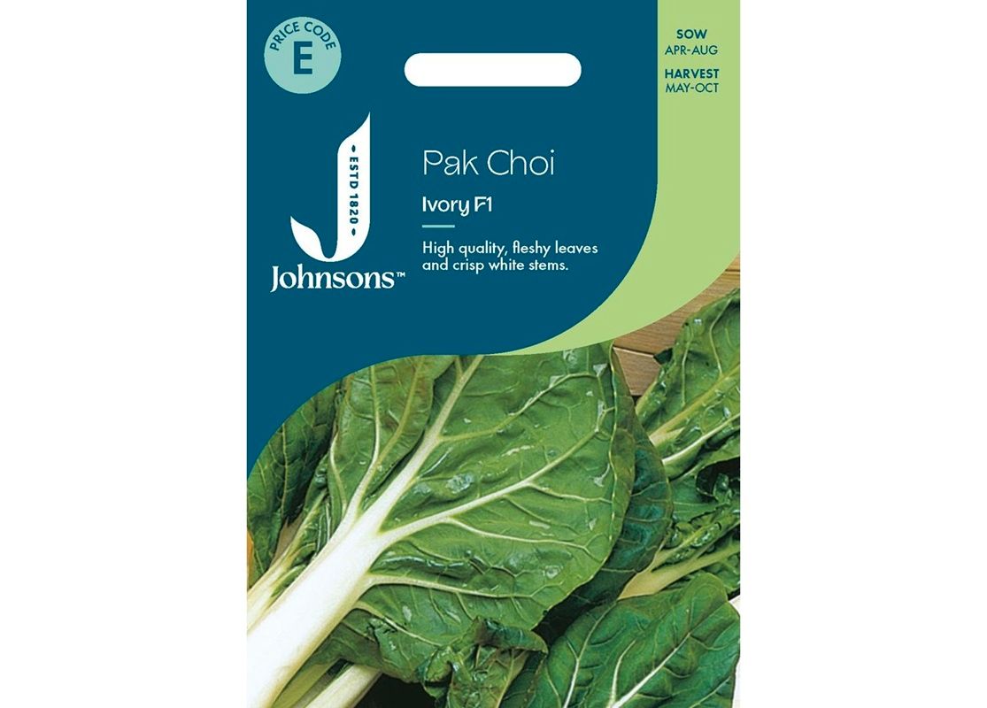 PAK CHOI Ivory F1