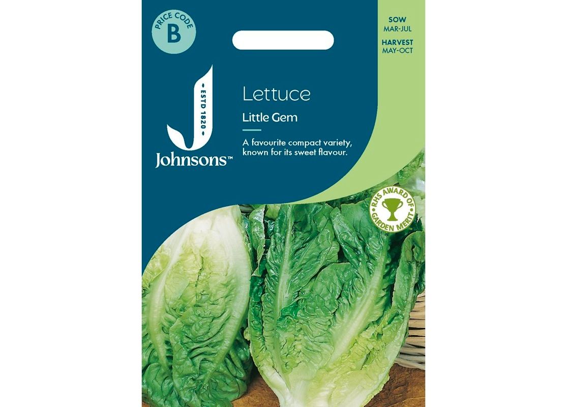 LETTUCE Little Gem LETTUCE Little Gem