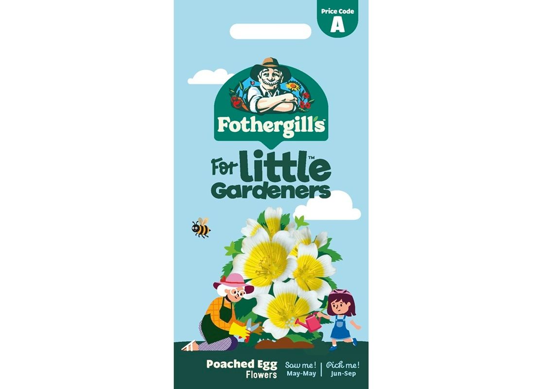 POACHED EGG FLOWERS POACHED EGG FLOWERS