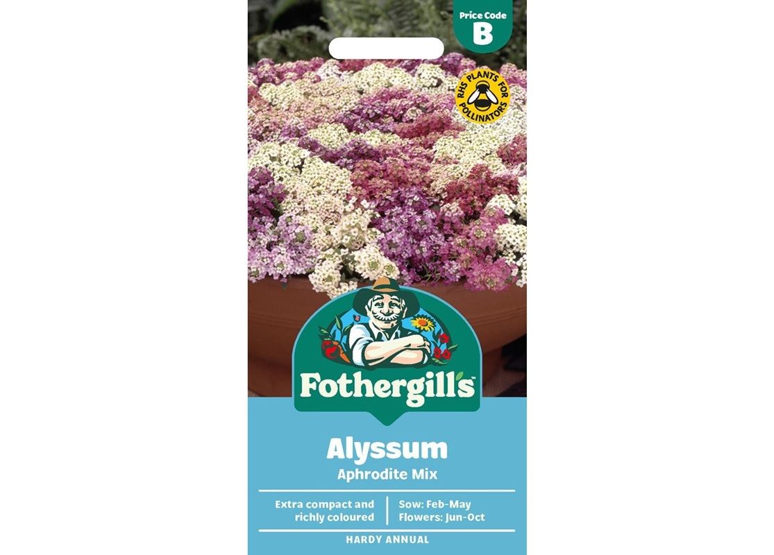 ALYSSUM Aphrodite Mix ALYSSUM Aphrodite Mix