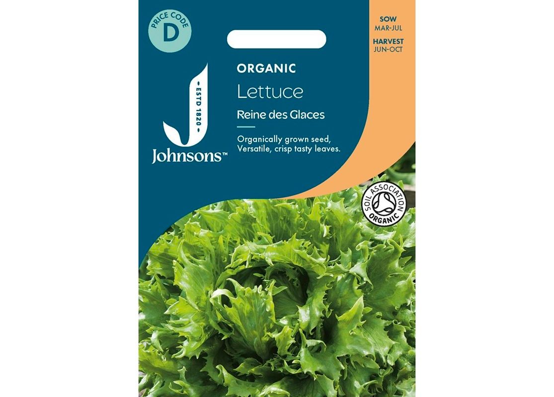 LETTUCE Reine des Glaces ORG LETTUCE Reine des Glaces ORG