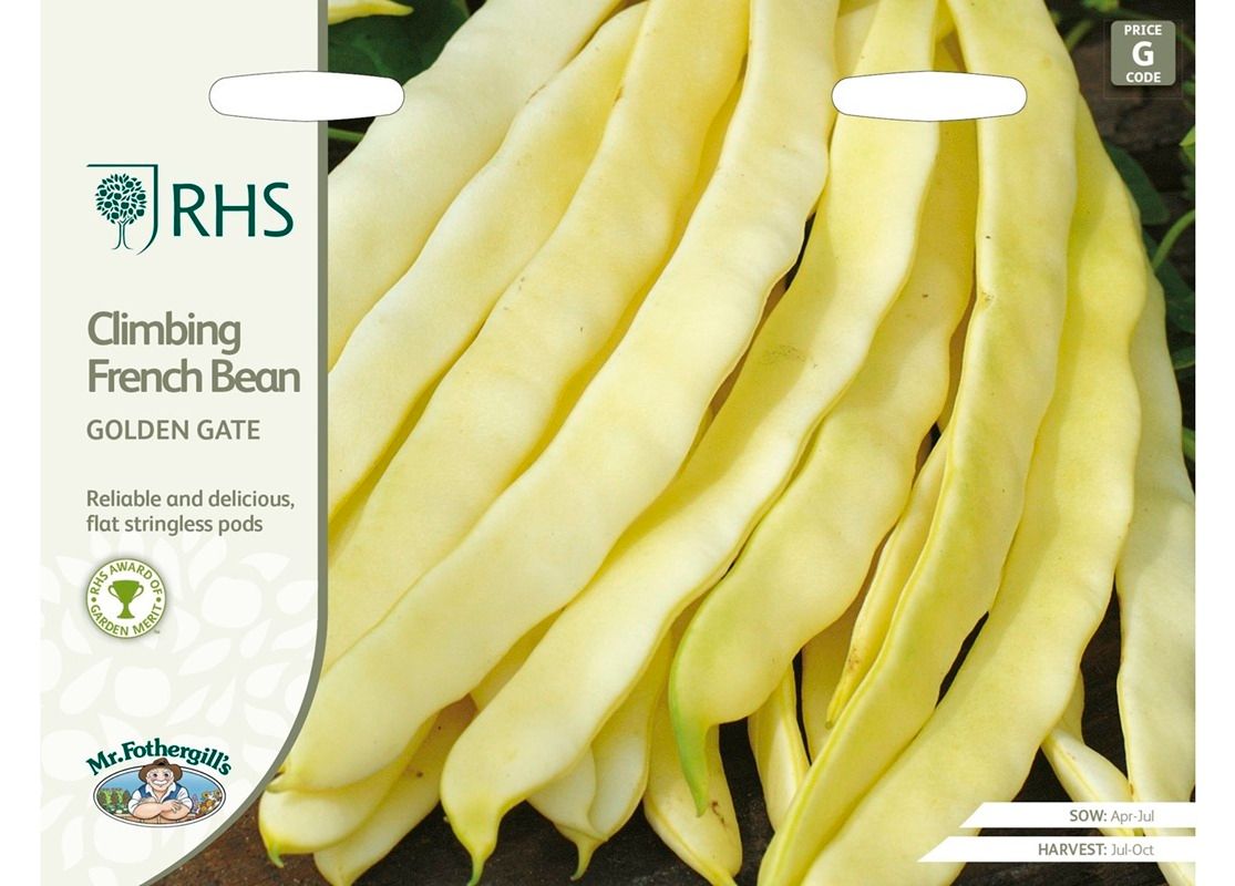 RHS CLIMBING FRENCH BEAN Golden Gate