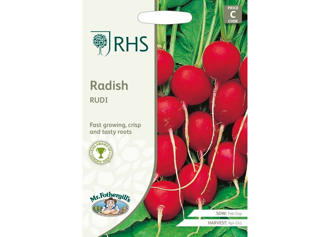 RHS RADISH Rudi RHS RADISH Rudi