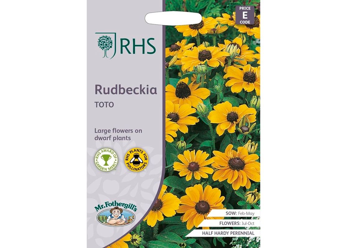RHS RUDBECKIA Toto RHS RUDBECKIA Toto