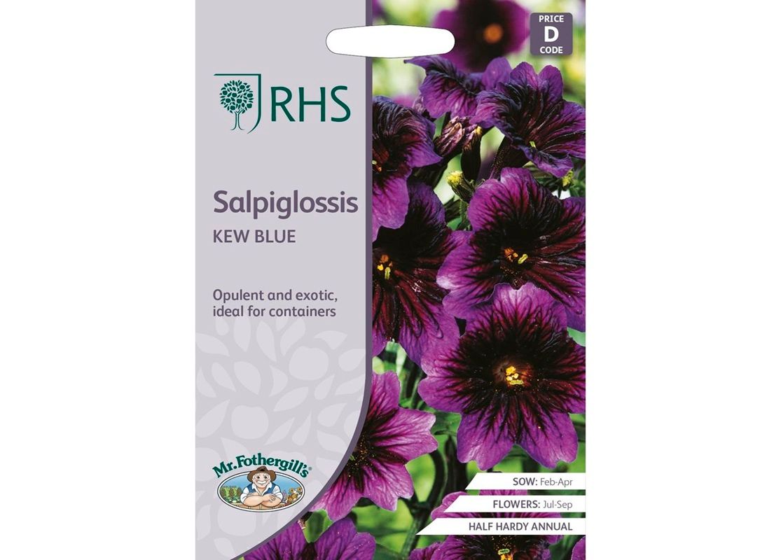 RHS Salpiglossis Kew Blue