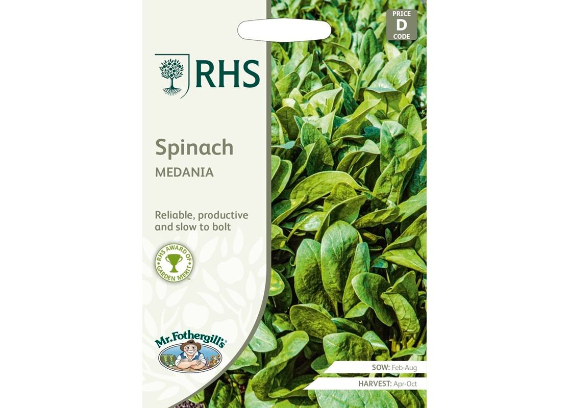RHS Spinach Medania
