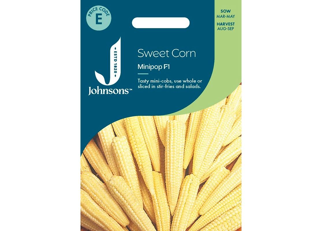 SWEET CORN Minipop F1
