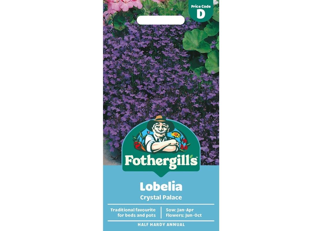 LOBELIA Crystal Palace