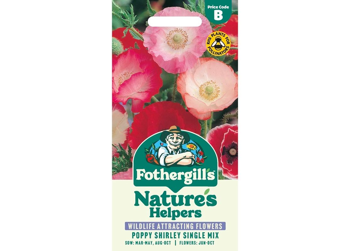 POPPY Shirley Single Mix