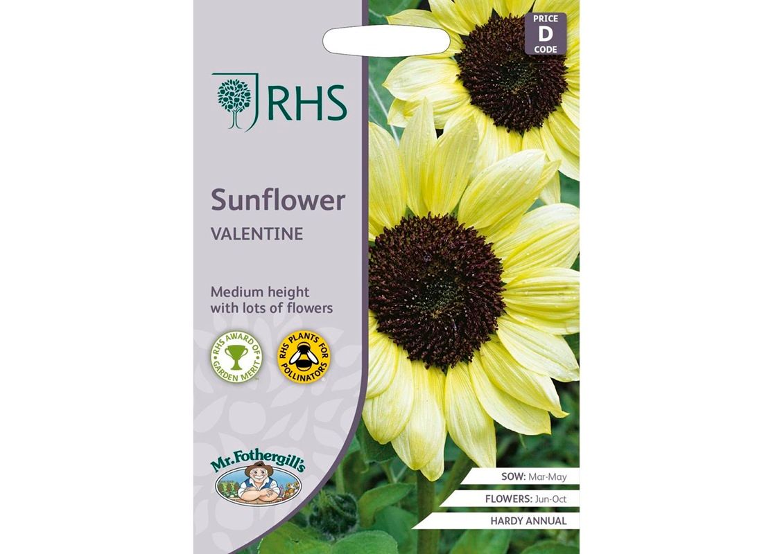 RHS SUNFLOWER Valentine
